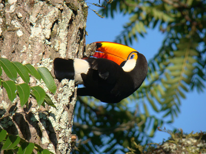 Foz do Iguaçu