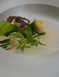 Agapé Substance Agapé Substance