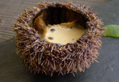 Agapé Substance Agapé Substance