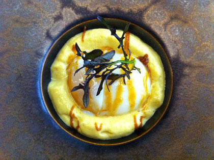 Agapé Substance Agapé Substance