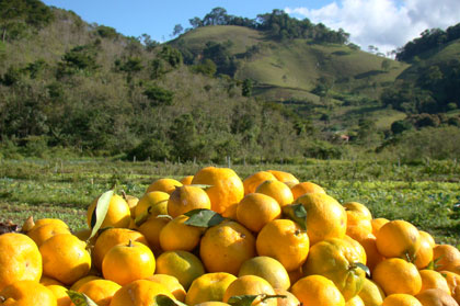 Banquete na Roça Ecochefs