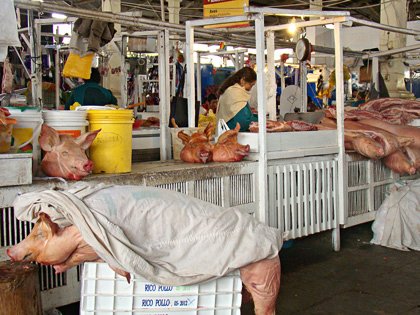 Mercado Central de San Pedro