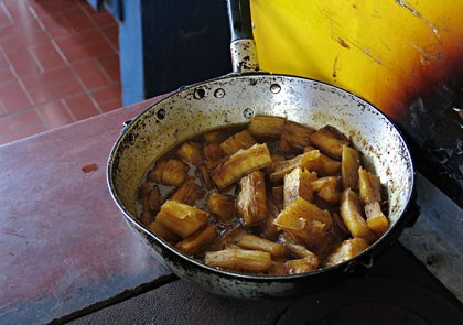 Fazenda São José da Vargem